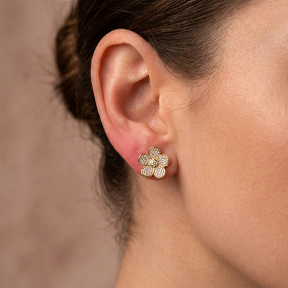 Aros Argollas Dual