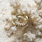 Argollas Iris Reef