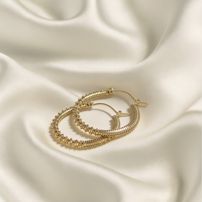 Argollas Enorchadas Selene
